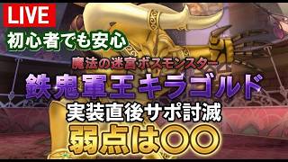 【ドラクエ10生配信No.325】鉄鬼軍王キラゴルド 実装同時に討伐に挑む【弱点みせます】