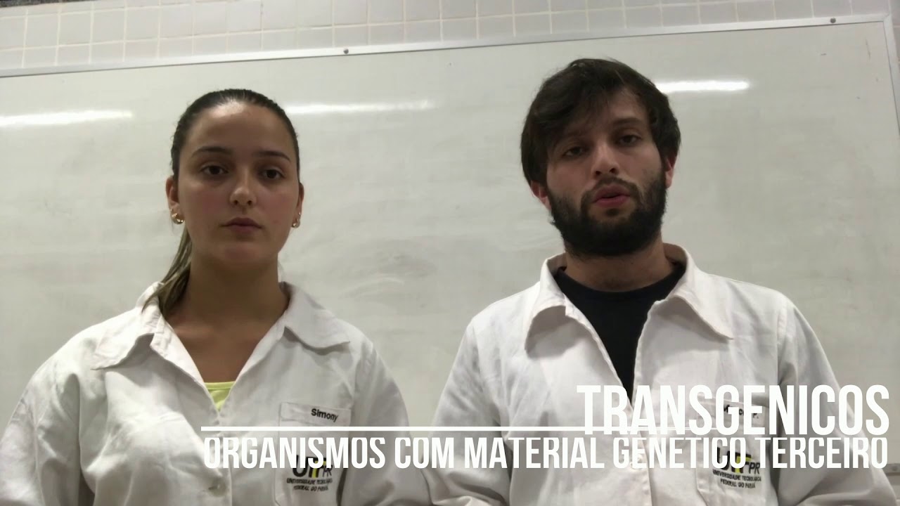 OGM vs Transgenicos