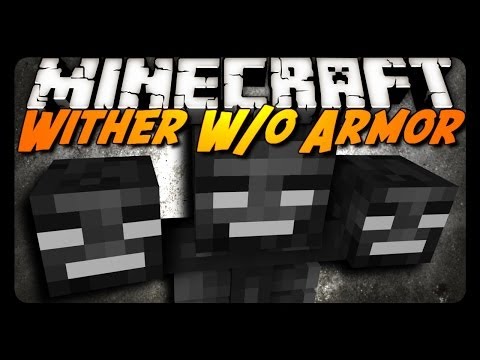 Insane Minecraft Wither Kill - No Armor Challenge!