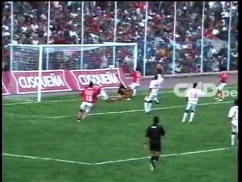 Goles de Sergio Ibarra en toda su carrera