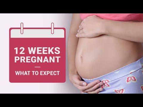 12 Weeks Pregnant | Pregnancy Week by Week (Symptoms, Baby Size, Diet and More)