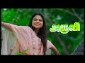 Aruvi Serial Title Song Sun Tv Tamil Serial Audio Song Tamil Thirai Music