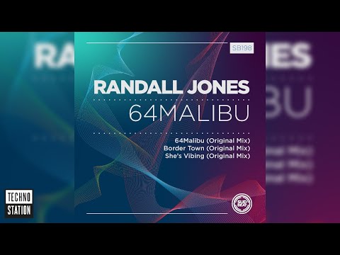 Randall Jones - She's Vibing