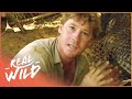 Steve Irwin S Biggest Crocodile Battles Wildlife Documentary Real Wild