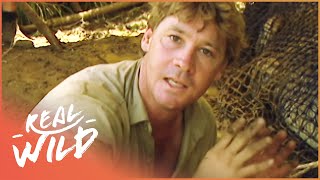 Steve Irwin&#39;s Biggest Crocodile Battles (Wildlife Documentary) | Real Wild