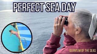 Perfect Sea Day on Quantum of the Seas | Luxury Relaxation to Party Deck Fun!