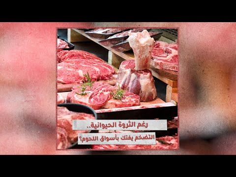 «تحقيقات»: أسعار اللحوم تحلق عاليا