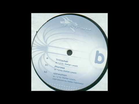 Magnetrixx - Phorese