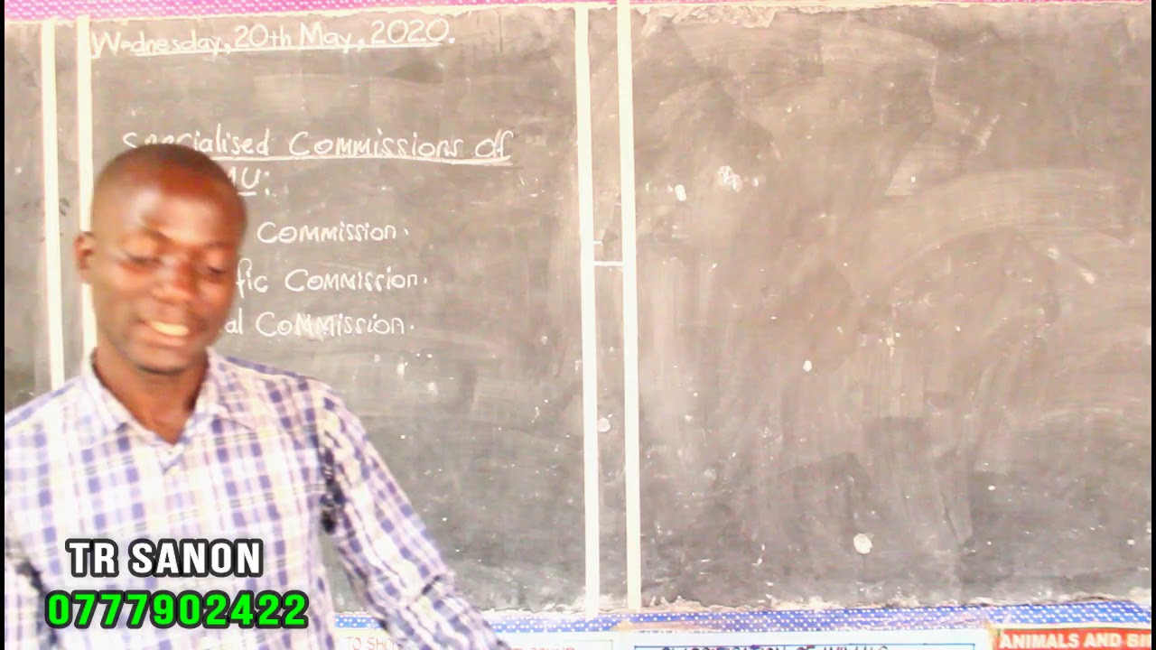 Video Thumbnail