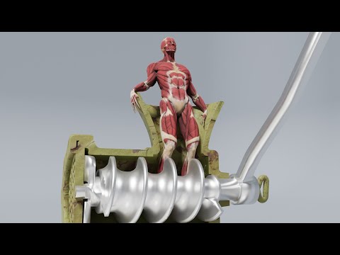 HUMAN BODY vs MEAT GRINDER animation