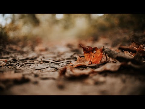 NEISPRAVNO JE UČITI ZNANJE A NE MIJENJATI SE || dr. Safet Kuduzović