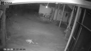 Download lagu MOV0001.mp4 mp3