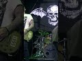The Stage Solo by Avenged Sevenfold (live)