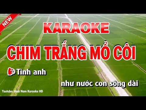 Karaoke Chim Trắng Mồ Côi - Song Ca