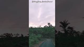 Download lagu Izinkan Selamanya Namamu Dihati #shortvideo @Riskaofficial96 mp3