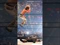 Steve Austin Talks About Iconic Undertaker VS Shawn Michaels Match At Wrestlemania 25 Shorts
