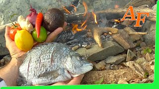 On Fire Catch and Cook Sea Bream Fish Gummy Worms / Snake Lollie Fishing Challenge EP.360