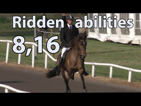 Mærð från Skeppargården, Breeding Swedish Championships 2013