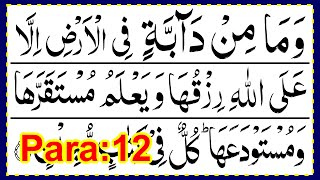 Download lagu Para 12 Full Pani Patti Tilawat || Juz 12 Complete || Wama Min Daabbah || Juzz 12 || Barwah Para mp3