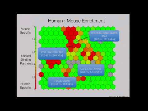 Regulatory Conservation and Divergence Among Organisms - Michael Snyder