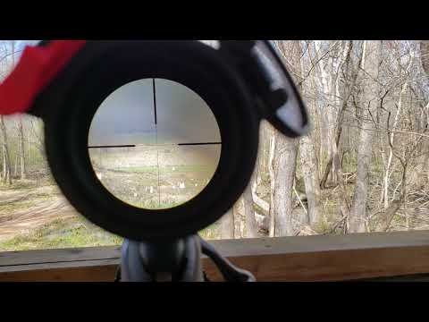 10x Magnification @ 1 Mile