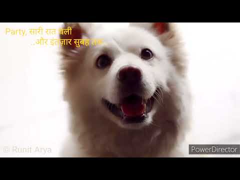 RUNIT ARYA Dog's Emotions