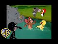 Tom Jerry Animal Friends Animals Takeover Wbkids