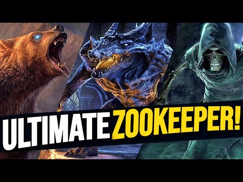 Command An ARMY! Best Subclassing Solo Pet Build For ESO