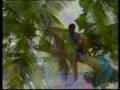 Gerard Joling - Ticket to the tropics 