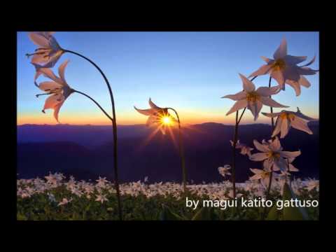 Nitrous Oxide & Hodel - Safe (Original Mix)