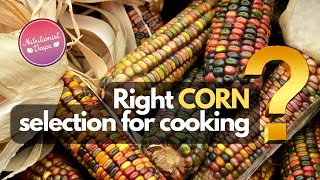 Corn Selection Secrets: Boost Your Cooking With The Right Pick! | NutritionistDeepa.com