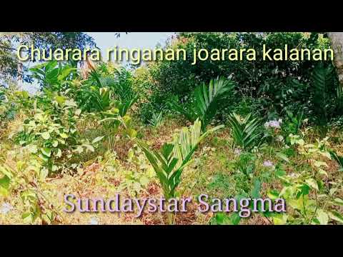 Chuarara ringanan joarara kalanan | Sundaystar Sangma