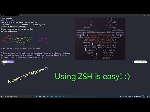oh-my-zsh -- Basics of installing plugins and using custom scripts... CUSTOM shell in Linux/WSL