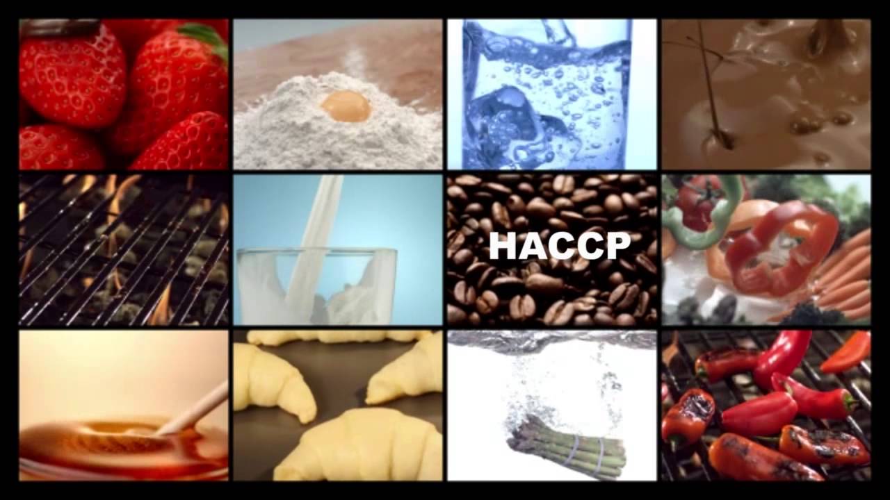 Intertek Food Services