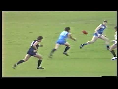 1986 Round 16 South 22.9 141 d Sturt 13.12 90