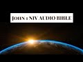 JOHN 1 NIV AUDIO BIBLE(with text)