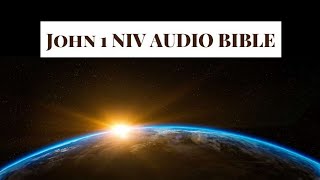 JOHN 1 NIV AUDIO BIBLE(with text)