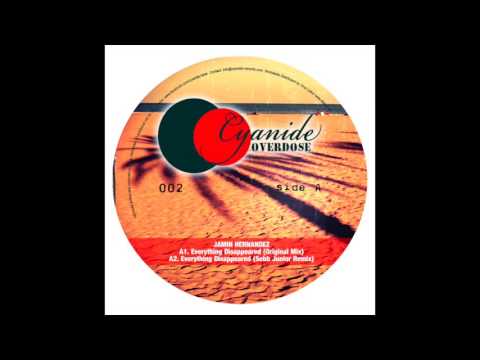Jamin Hernandez - Everything Disappeared (Sebb Junior Remix)