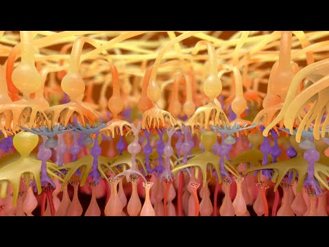 download lagu mp3 mp4 Human Eye, download lagu Human Eye gratis, unduh video klip Human Eye