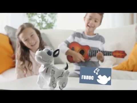 Умная собака робот Pupbo | Папбо на русском языке