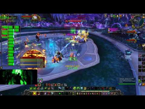 High Botanist Tel'arn Heroic (Nighthold | Hunter 7.2)