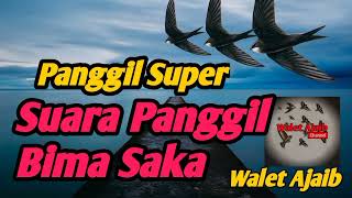 Download lagu suara panggil walet (sp.Bima Saka) mp3
