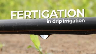 Download lagu FERTIGATION IN DRIP IRRIGATION (PEMUPUKAN DENGAN IRIGASI TETES) mp3 Download lagu FERTIGATION IN DRIP IRRIGATION (PEMUPUKAN DENGAN IRIGASI TETES) mp3