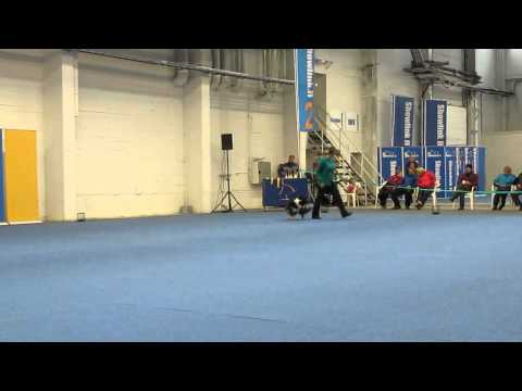 HTM Suomenmestari 2010 Nevada