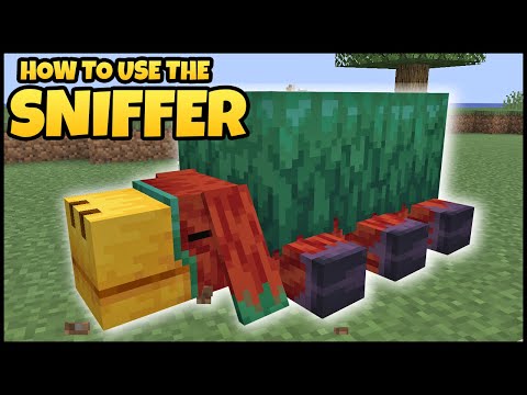 Ultimate Minecraft SNIFFER Guide