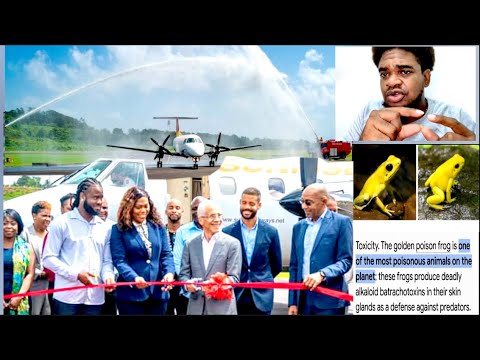 NEW AIRLINE LANDS IN DOMINICA TODAY & PLAGUE OF POISONOUS FROGS HAVE ARRIVED? - BRBPTV REACTION