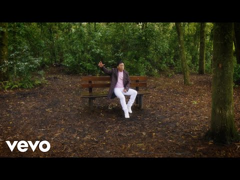 Saul Proaño - Me enamoré sin darme cuenta