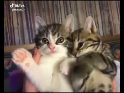 Kallolana😋😋😋😋😋🤣(19)