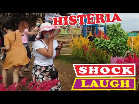bushman-prank-menyamar-di-flower-garden-prank-manusia-pohon