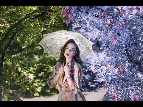 Deer of Sun Photoshop Manipulation Photoshop CC Tutorials